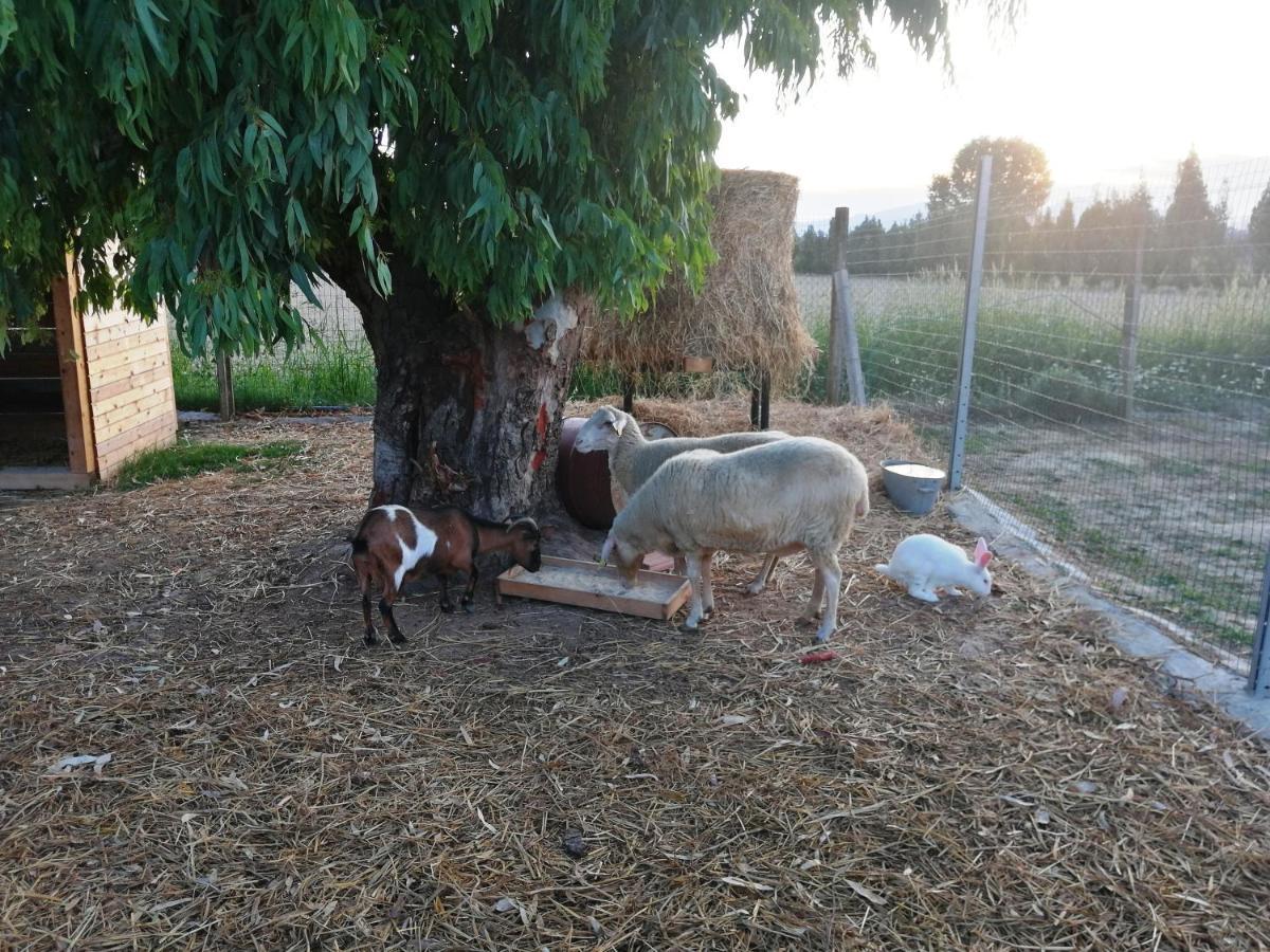 Agriturismo Terralieta Roseto Degli Abruzzi Exteriör bild